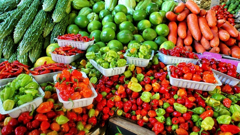 primeur-ST CYR SUR MER-min_farmers-market-1329008